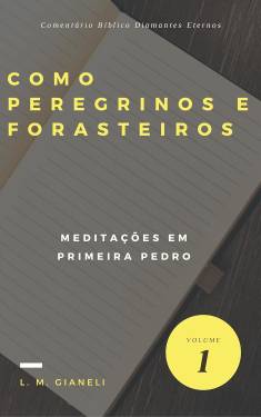 Capa de Como Peregrinos E Forasteiros